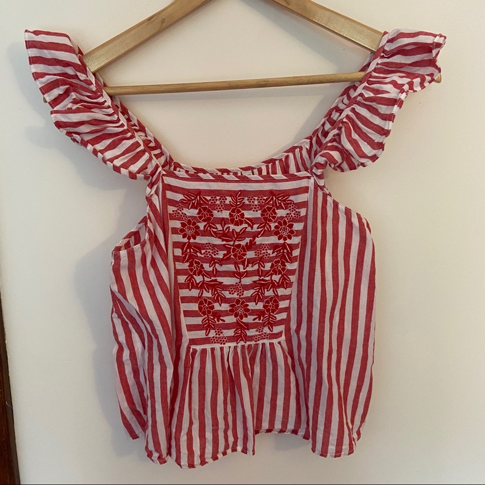 Zara Ruffle Sleeve Embroidered Top